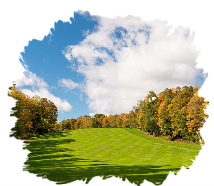 ready-to-golf-image ready-to-golf-image