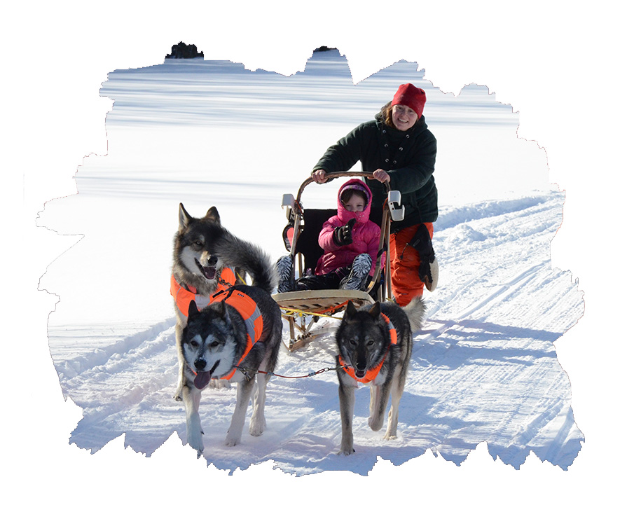 Website dogsled Website dogsled