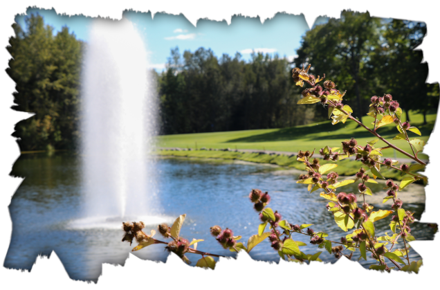 website golf homepage website golf homepage